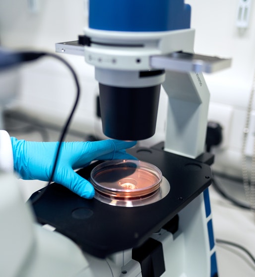 Biotechnology Internship in Chennai