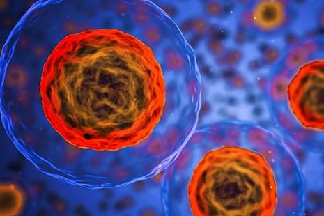 Cell Biology & Genetics