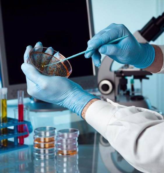 Internship and Hands on Training Modules